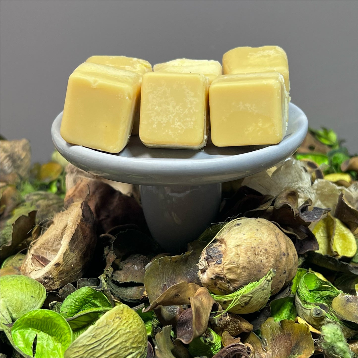 Coconut Candles and Wax Melts